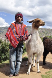 peru-lama