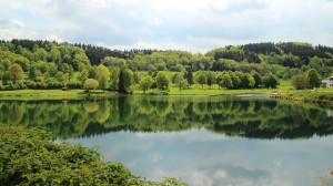 lake-352738_640© meineresterampe - Pixabay.com